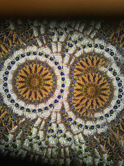 Wooden Kaleidoscope, Handheld in  Pomelle 2025 By Artists Carol and Mark Reynolds.