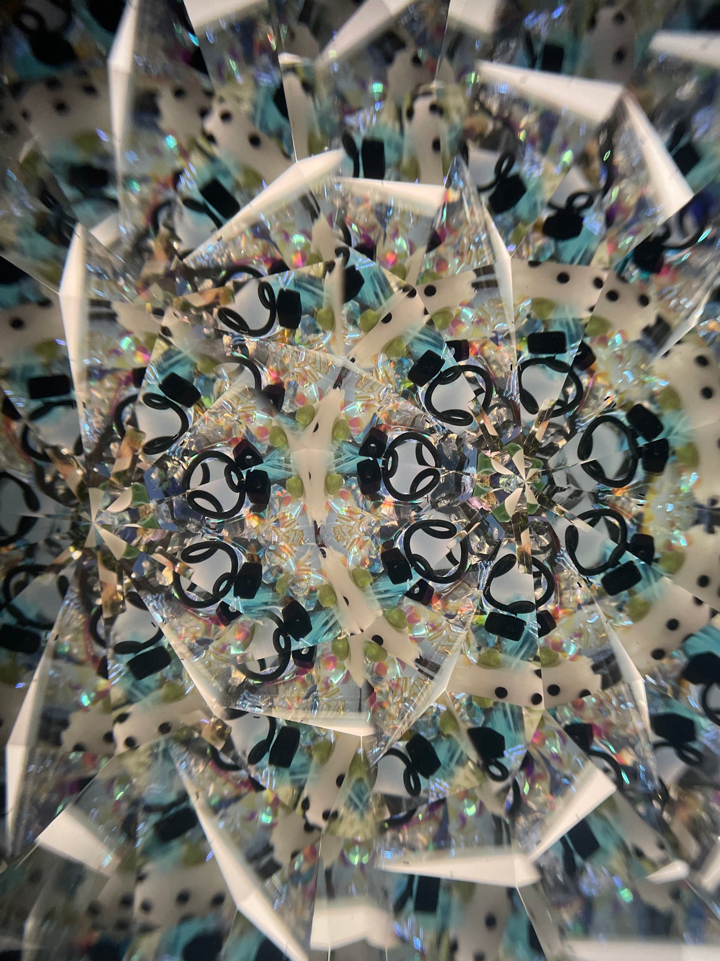 Loon  Kaleidoscope By Artist Sue Rioux