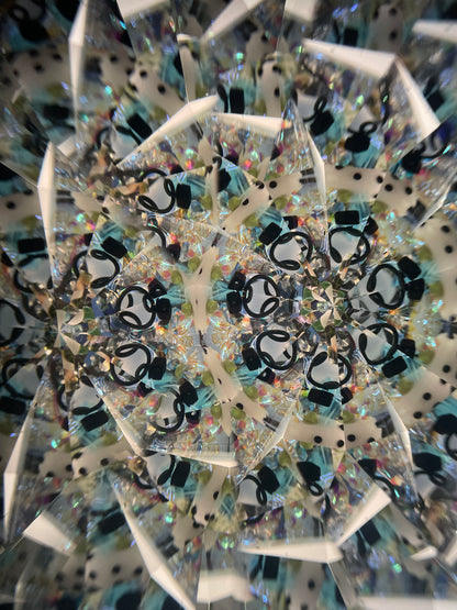Loon  Kaleidoscope By Artist Sue Rioux