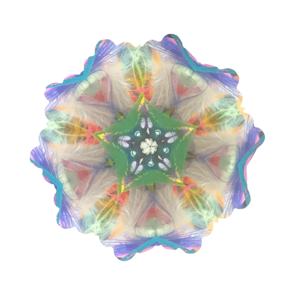 Feather and Leather Kaleidoscope by Paretti's