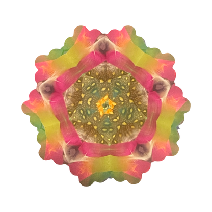 Feather and Leather Kaleidoscope by Paretti's